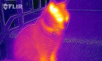 flirone outdooradventures