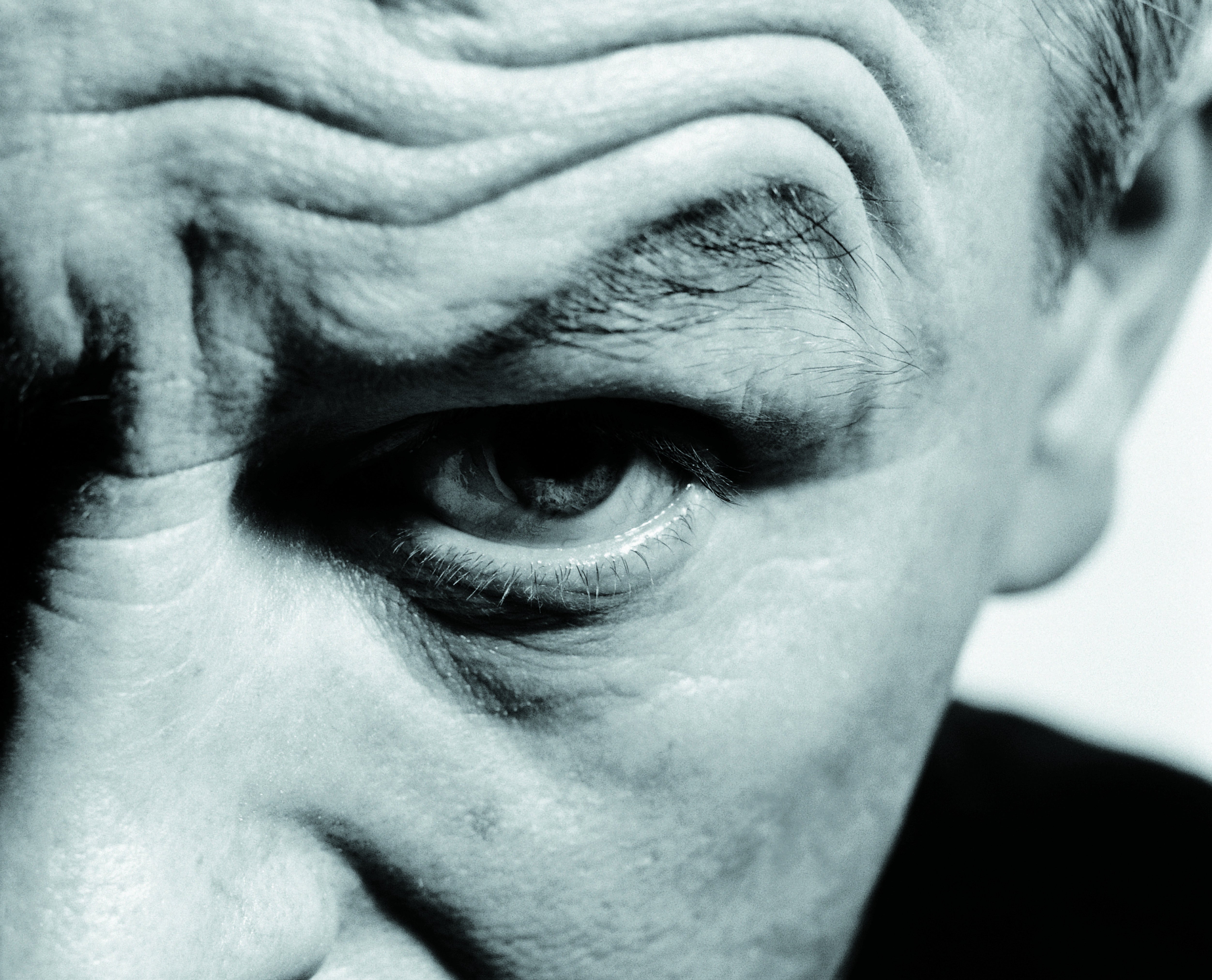 mans eye with raised eyebrow dv360013e