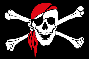 pirate skull crossbones