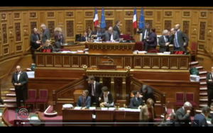 French Senate extends state of emergency