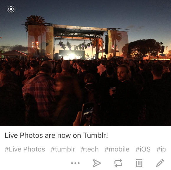 tumblr live photos