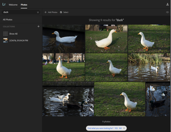 lightroomsearch4