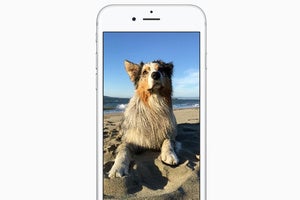 iphone live photo