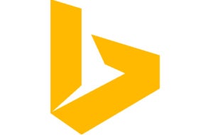 binglogobig