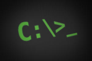 c prompt primary