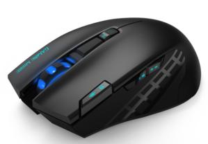 havitsevenbuttonmouse